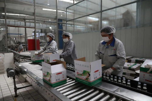 南京开发区 本地饮品年货市场旺，节后加紧生产忙，软件赋能助发展