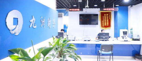 2025年财务管理信息化软件服务公司排名与高性价比南京软件开发解析